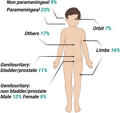 Radioresistance in rhabdomyosarcomas: Much more than a question of dose